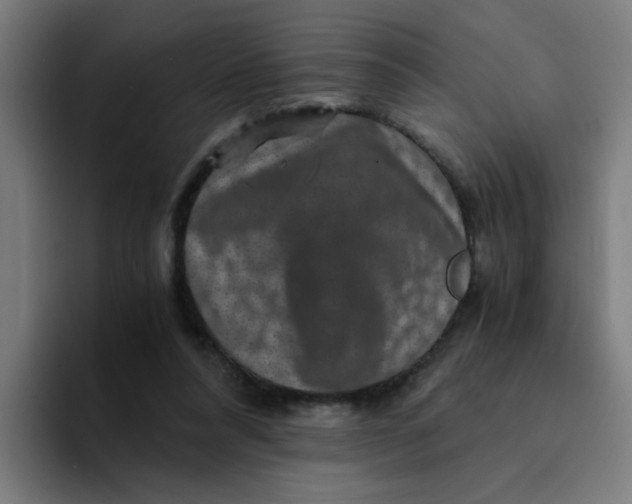 X0000094180304200711161733