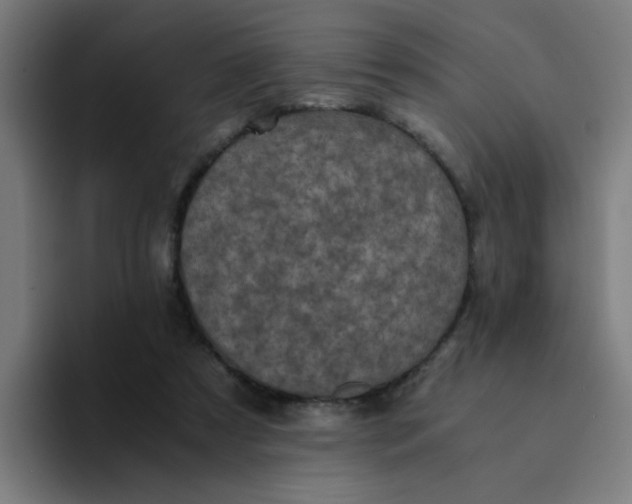 X0000094180305200711161733