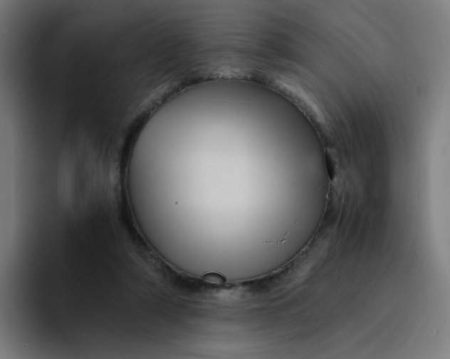 X0000094180306200711161733