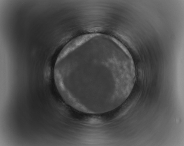 X0000094180308200711161733