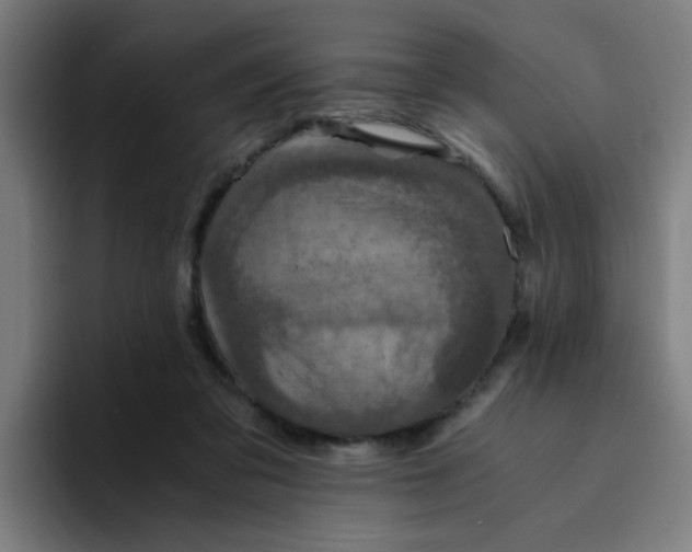 X0000094180309200711161733