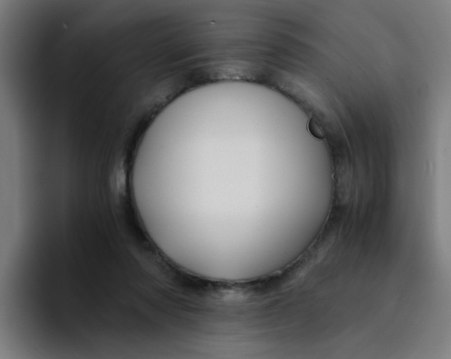X0000094180310200711161733