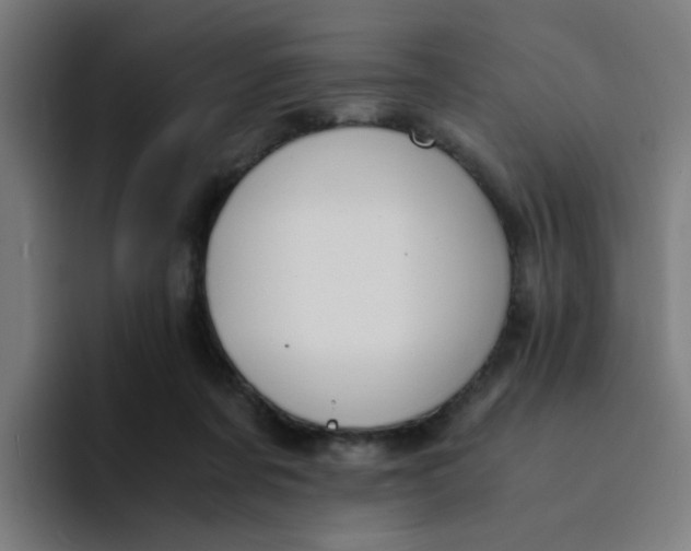 X0000094180311200711161733