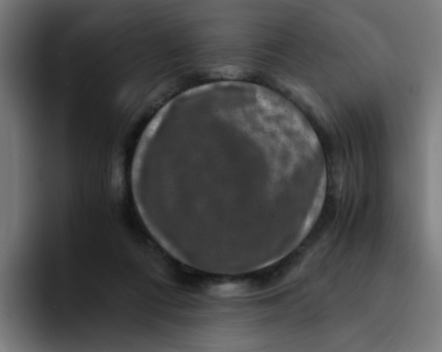 X0000094180312200711161733