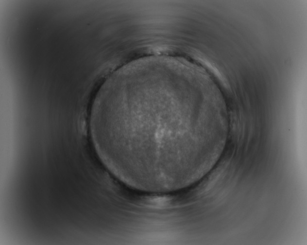 X0000094180313200711161733