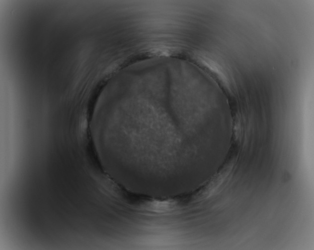 X0000094180314200711161733