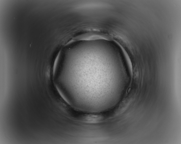 X0000094180315200711161733