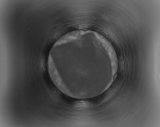 X0000094180316200711161733