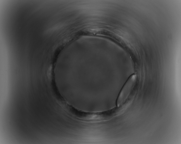 X0000094180319200711161733