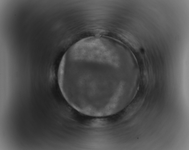 X0000094180320200711161733