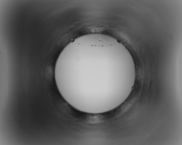 X0000094180321200711161733
