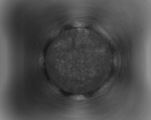 X0000094180322200711161733