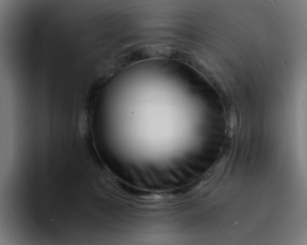 X0000094180323200711161733