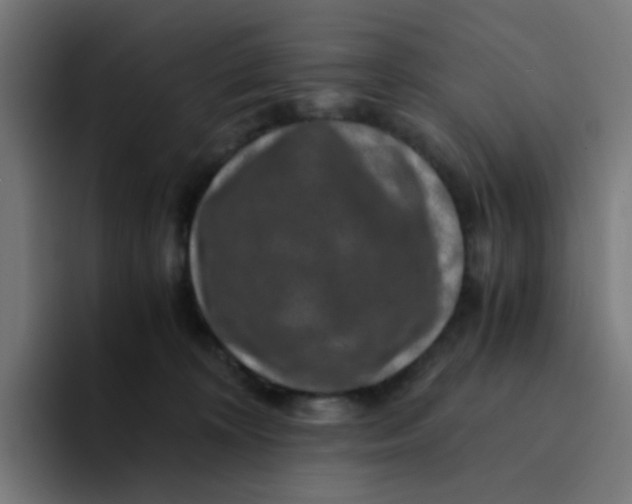 X0000094180324200711161733
