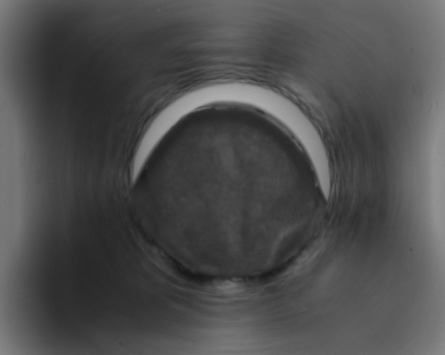 X0000094180325200711161733
