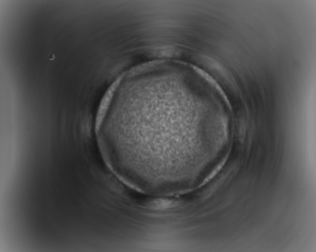 X0000094180326200711161733