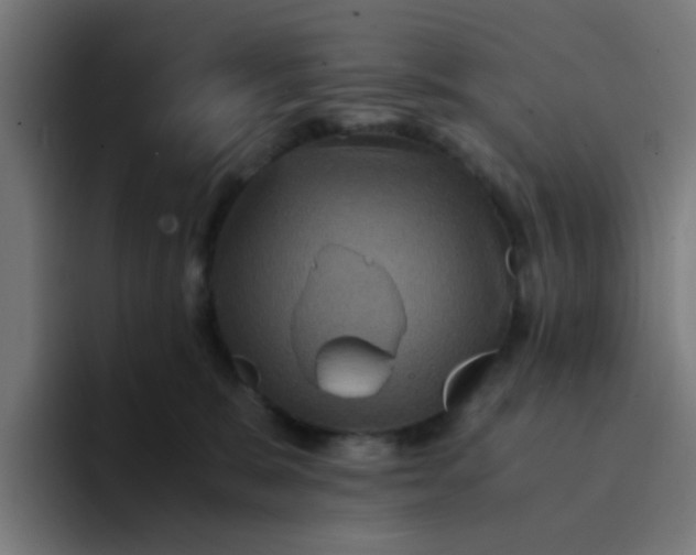 X0000094180327200711161733