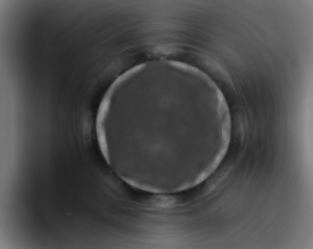 X0000094180328200711161733