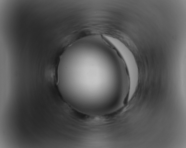 X0000094180329200711161733