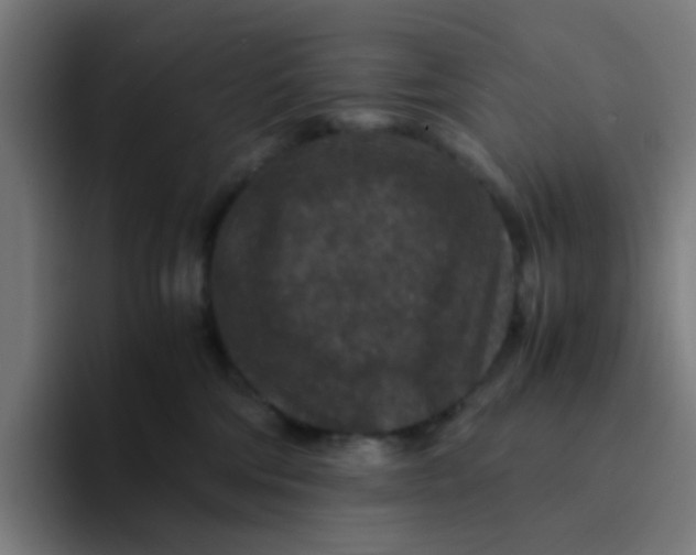 X0000094180330200711161733