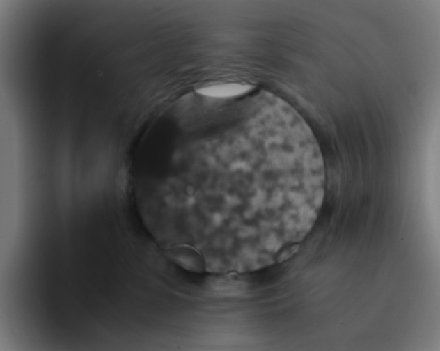 X0000094180331200711161733