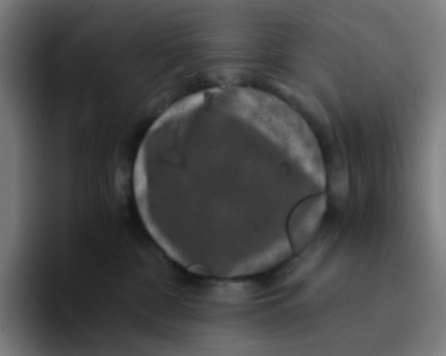 X0000094180332200711161733