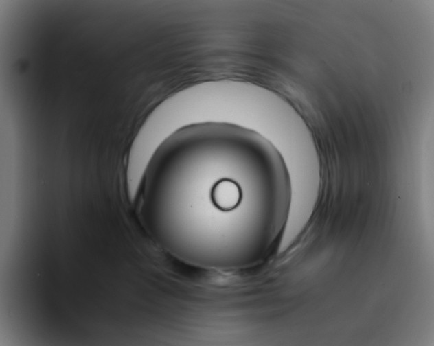 X0000094180333200711161733