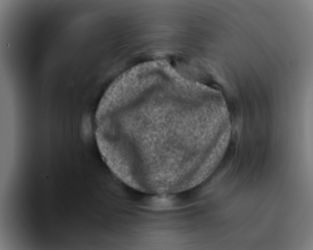 X0000094180335200711161733