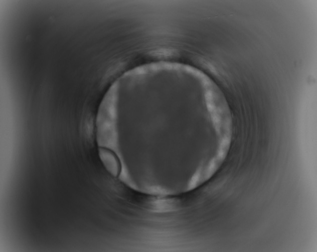 X0000094180336200711161733