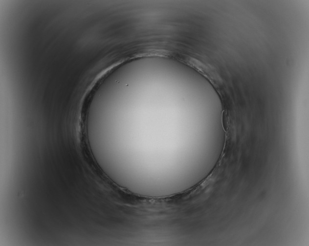 X0000094180338200711161732