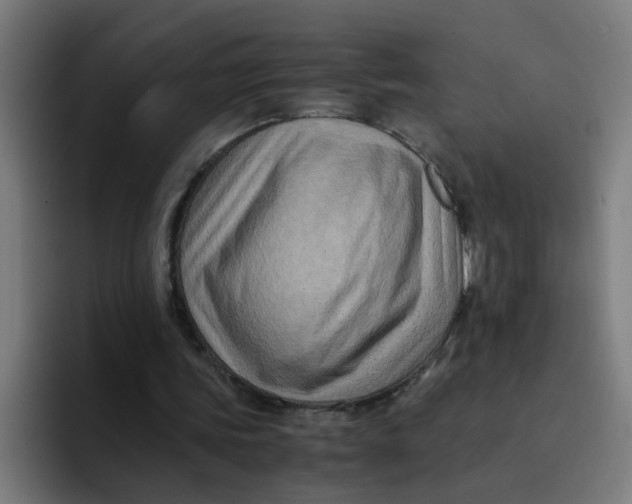 X0000094180339200711161732