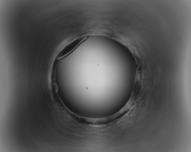 X0000094180340200711161732
