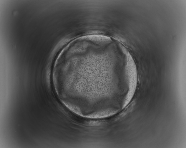 X0000094180341200711161732