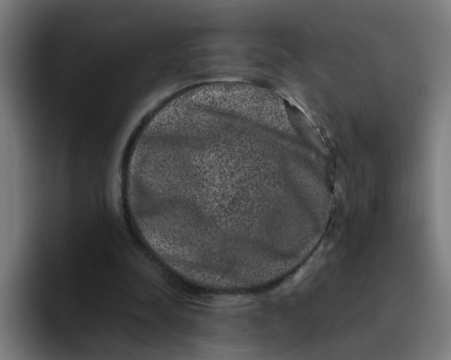 X0000094180342200711161732