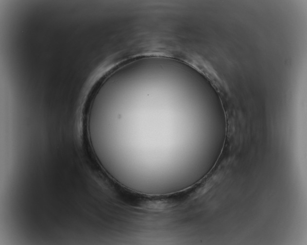 X0000094180344200711161732