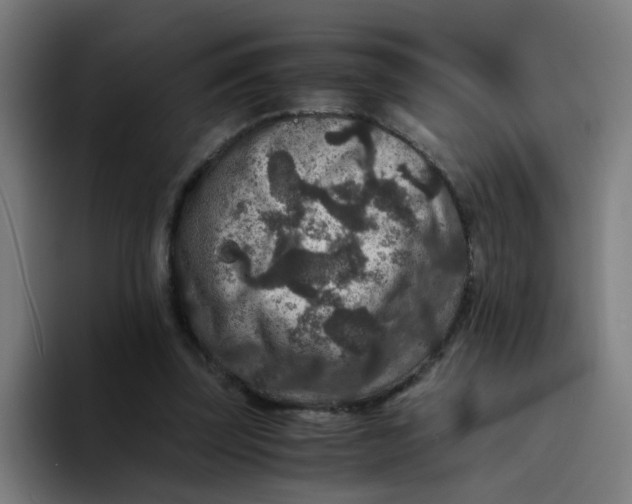 X0000094180347200711161732