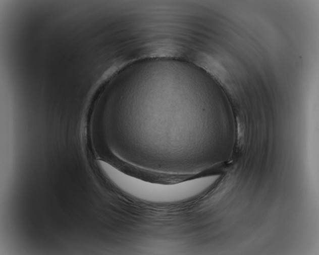 X0000094180348200711161732