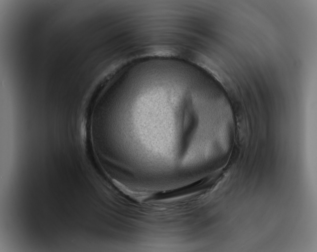 X0000094180350200711161732
