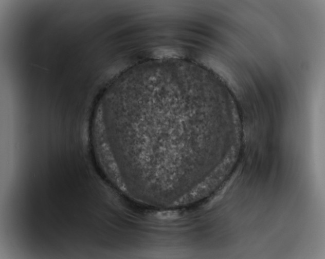 X0000094180353200711161732
