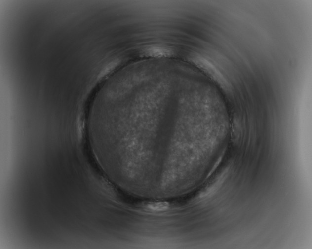 X0000094180355200711161732