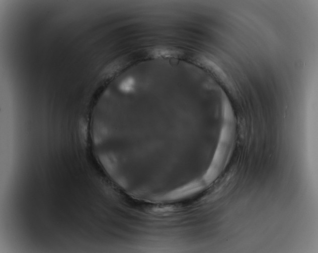X0000094180357200711161732