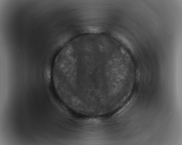 X0000094180358200711161732