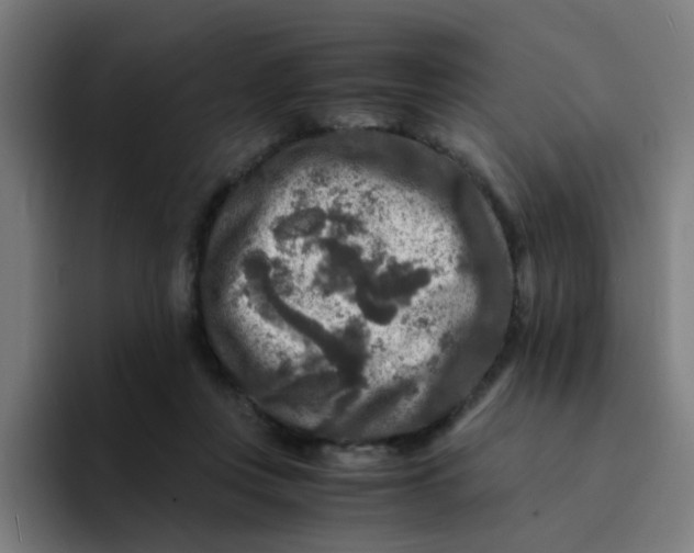 X0000094180359200711161732