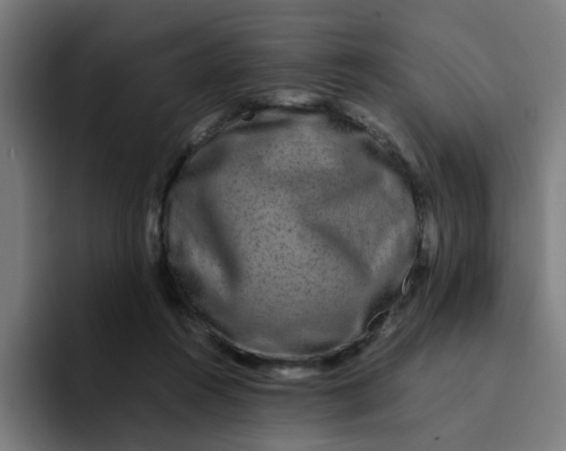 X0000094180360200711161732