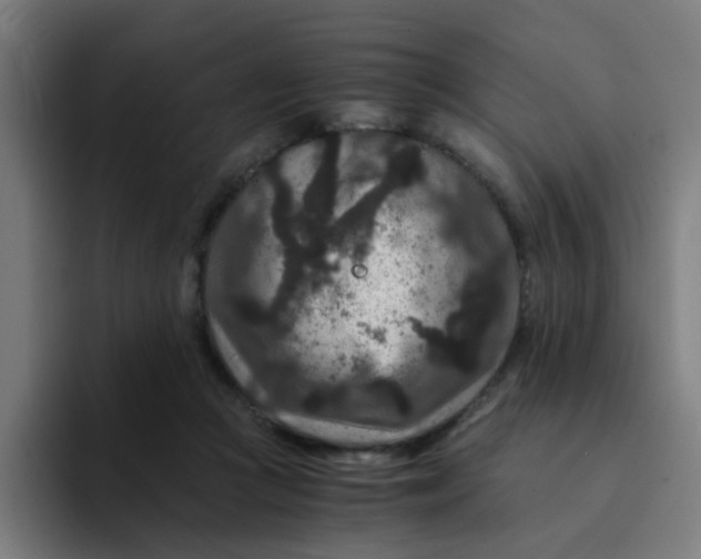 X0000094180361200711161732