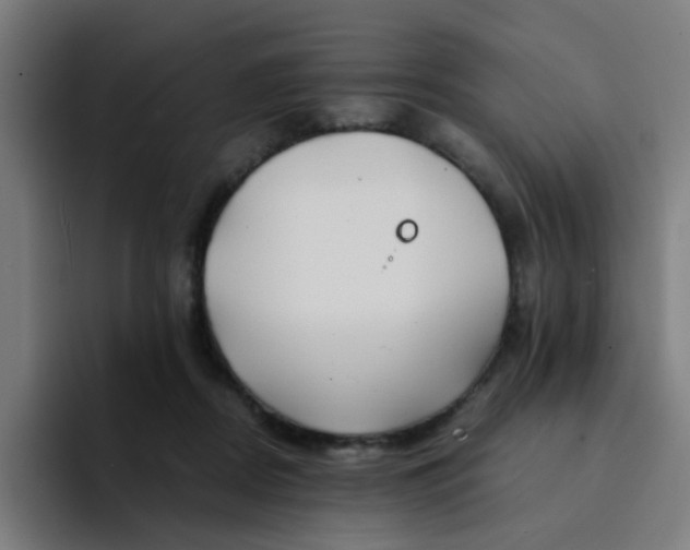 X0000094180362200711161732