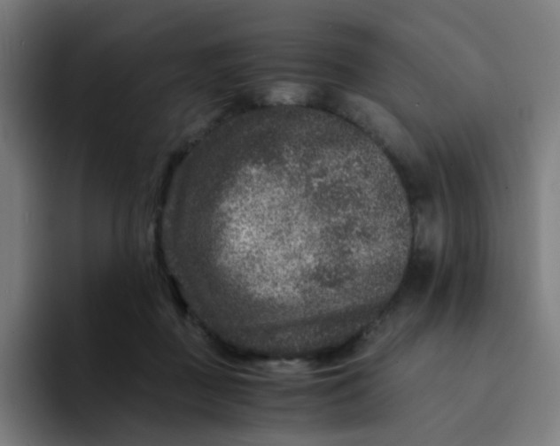 X0000094180363200711161732