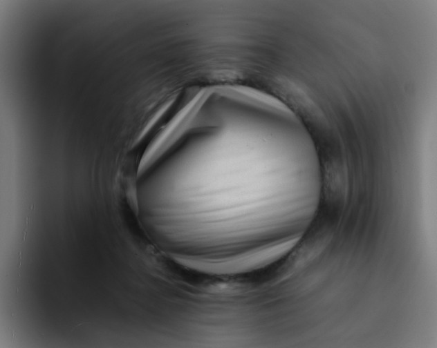 X0000094180364200711161732
