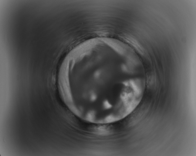 X0000094180365200711161733