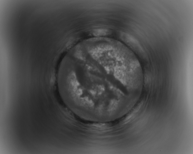 X0000094180367200711161733